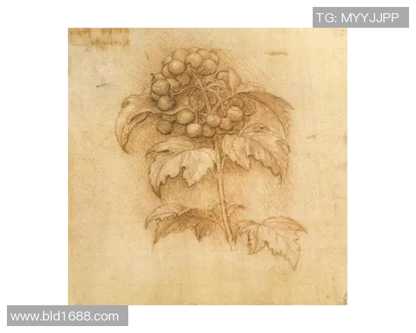 米利唐的传奇旅程：探索这位历史人物的影响与贡献