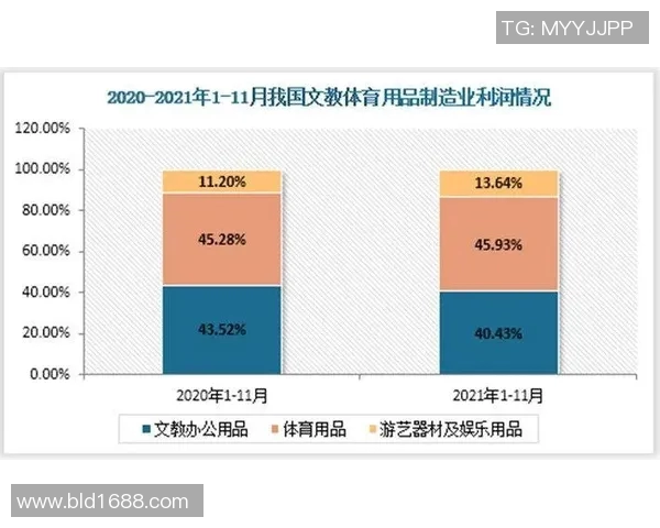 体育产品的多样化分类探讨与市场需求分析